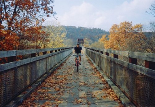 Kevin Bike