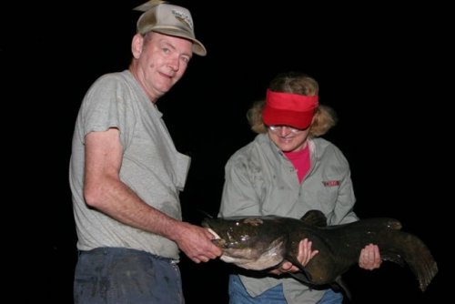 Catfish Jun 13