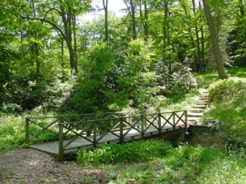 Bridge and Flowers